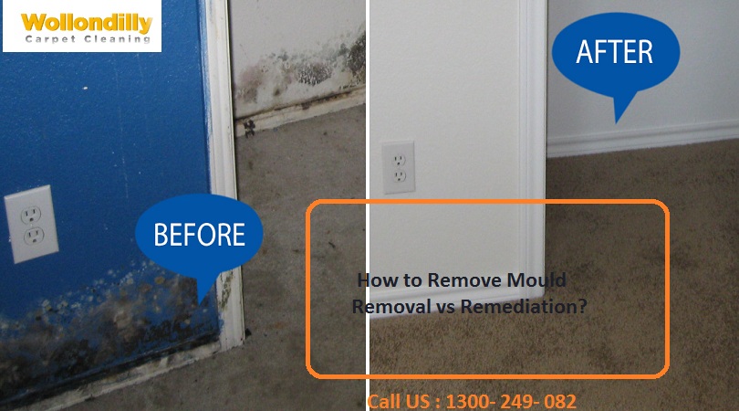 How To Remove Mold: Mold Remediation Process